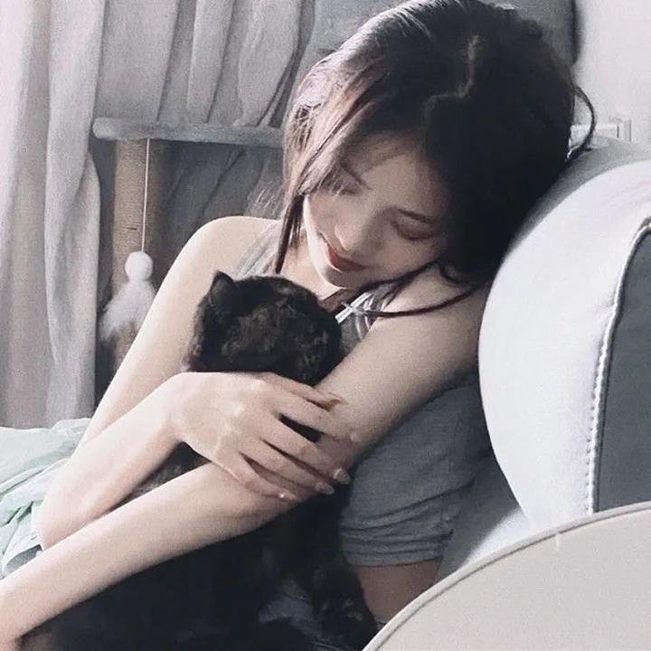 如果历史是一群喵第六季